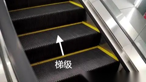 曳引驱动乘客电梯(直梯)及自动扶梯部件识别(取证考试专用) 配图